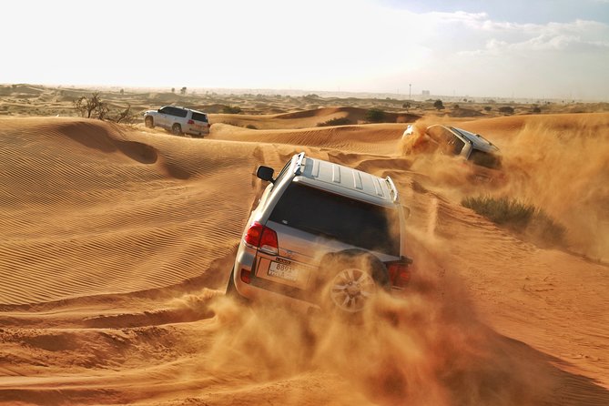Overnight Bedouin Family Tents in Bedouin Oasis - Ras Al Khaimah - Additional Information and Support