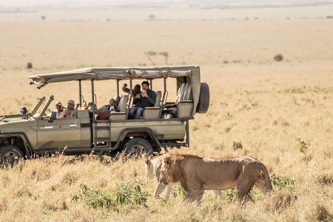 Overnight Budget Camping Tour to Maasai Mara. - Meal Inclusions