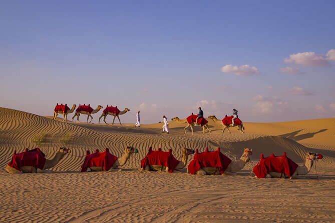 Overnight Camel Caravan With BBQ Dinner and Arabic Breakfast - Tour Highlights