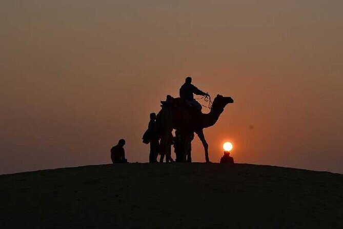 Overnight Camel Safari - An In-Depth Look at the Overnight Camel Safari Experience