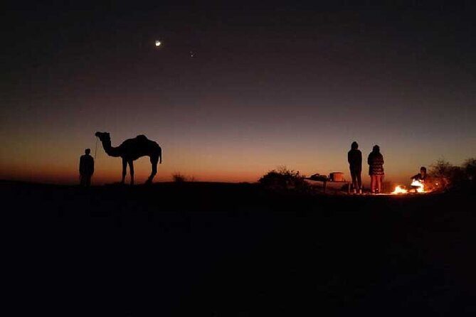Overnight Camel Safari - Authentic Experiences & What Travelers Say