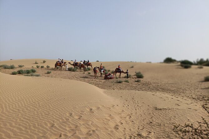 Overnight Camel Safari - The Journey Begins: What to Expect on the Itinerary