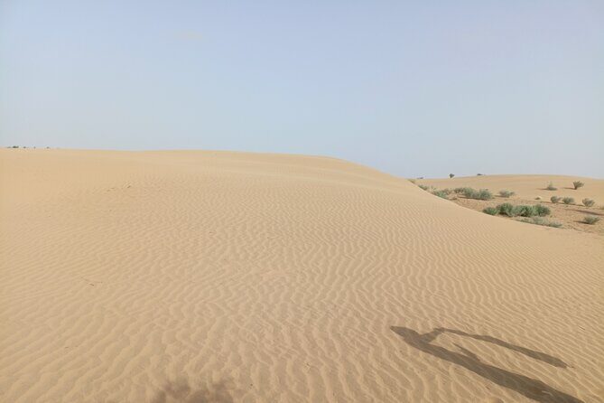 Overnight Camel Safari - Who Is This Tour Ideal For?