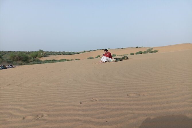 Overnight Camel Safari - The Sum Up