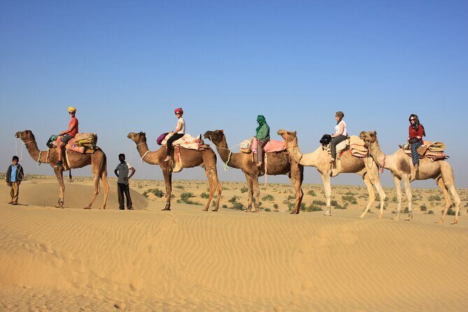 Overnight Camel Safari - The Experience Breakdown: What to Expect