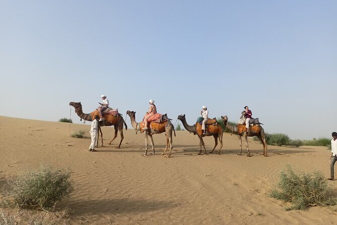 Overnight Camel Safari - Practical Details and Value