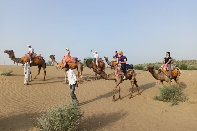 Overnight Camel Safari - FAQs