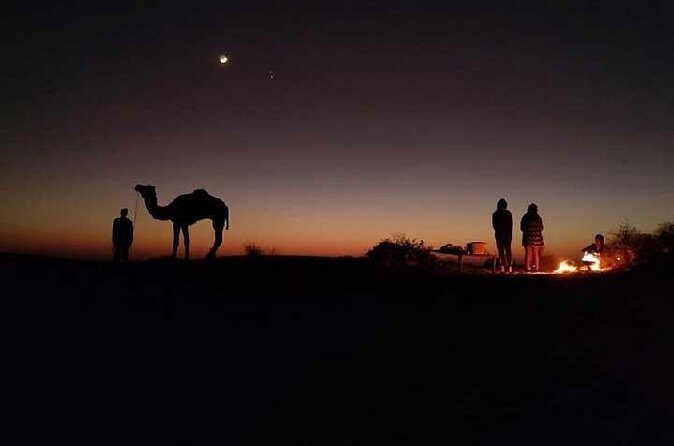 Overnight Camel Safari - Final Thoughts