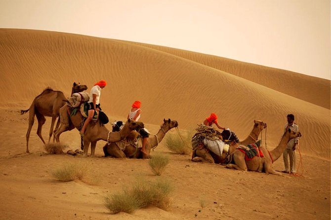 Overnight Camel Safari at Non-Touristic Route - Experience Details