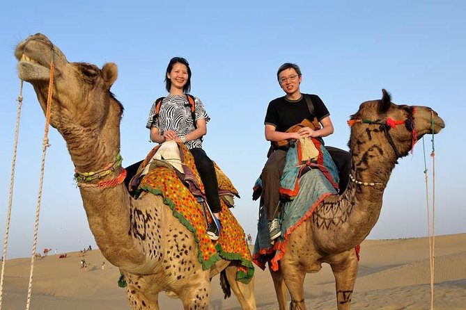 Overnight Camel Safari - Experience Description