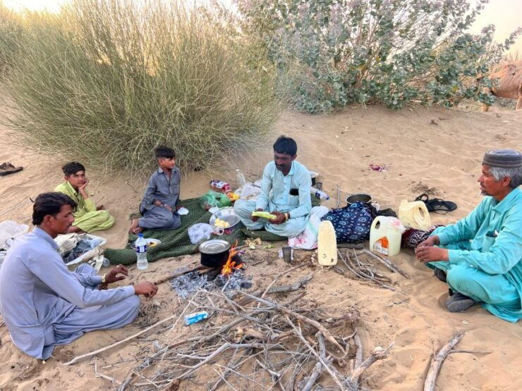 Overnight Camel Safari Non Touristic Deep Desert - Tour Details