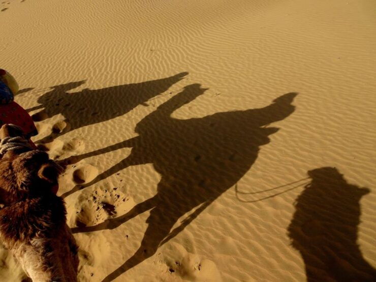 Overnight Camel Safari Non Touristic Deep Desert - Itinerary