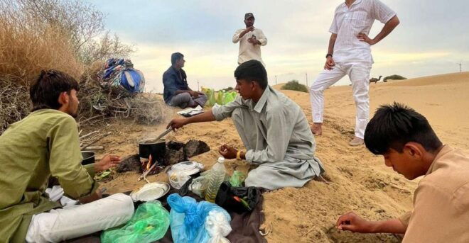 Overnight Camel Safari Non Touristic Deep Desert - Highlights