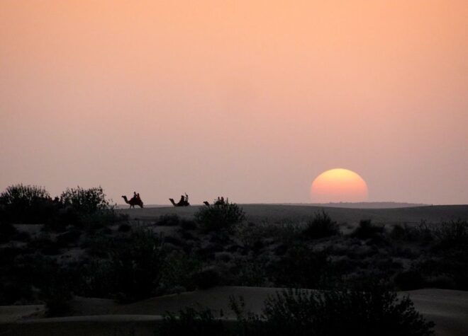 Overnight Camel Safari Non Touristic Deep Desert - Important Information