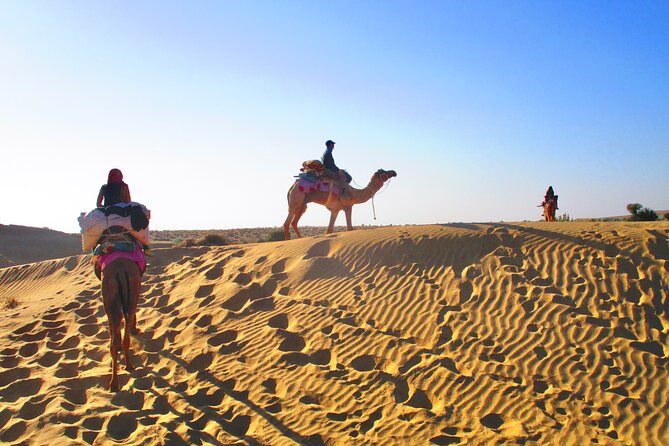 Overnight Camel Safari - Sleeping Under the Stars - Tour Highlights