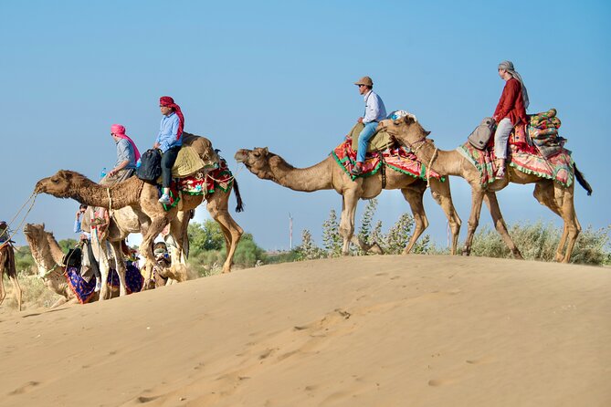 Overnight Camel Safari - Sleeping Under the Stars - Itinerary Details