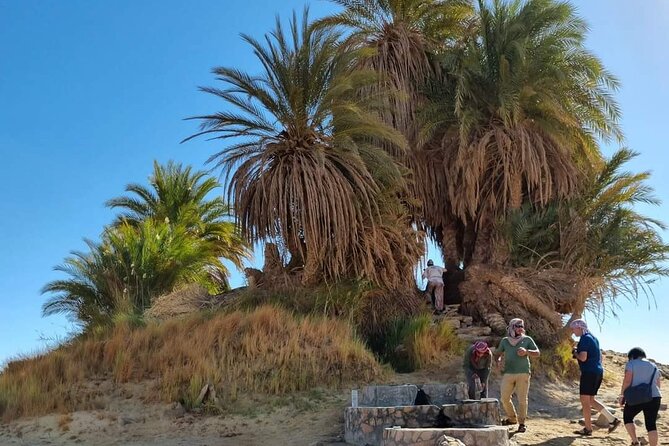 Overnight Camping Black and White Desert. - The Sum Up