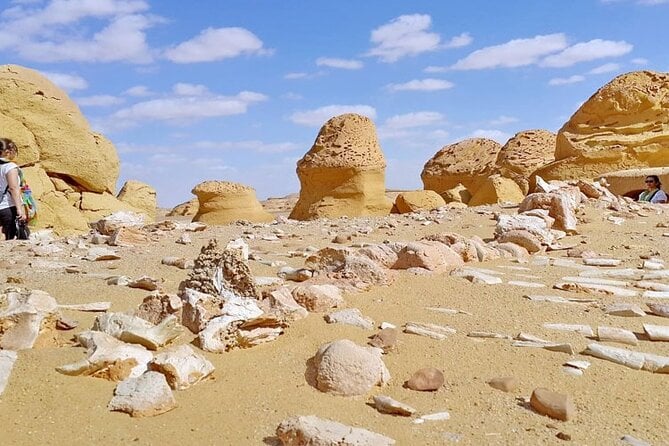 Overnight Camping in a Black and White Desert From Cairo - Additional Costs and Fees