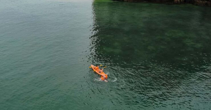 Overnight Cruise in Lan Ha Bay - 2 Days 1 Night Discovery - Experience Highlights