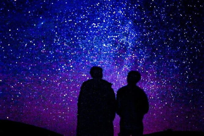 Overnight Desert Adventure Safari - Morning Departure - The Sum Up: Who Will Love This Safari?