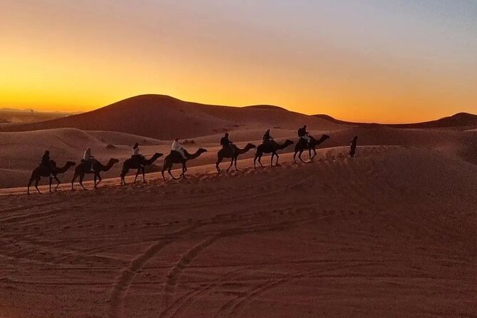 Overnight Desert Camp - Desert Activities