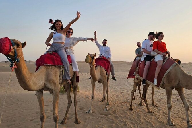 Overnight Desert Camping Abu Dhabi - Best Time to Go