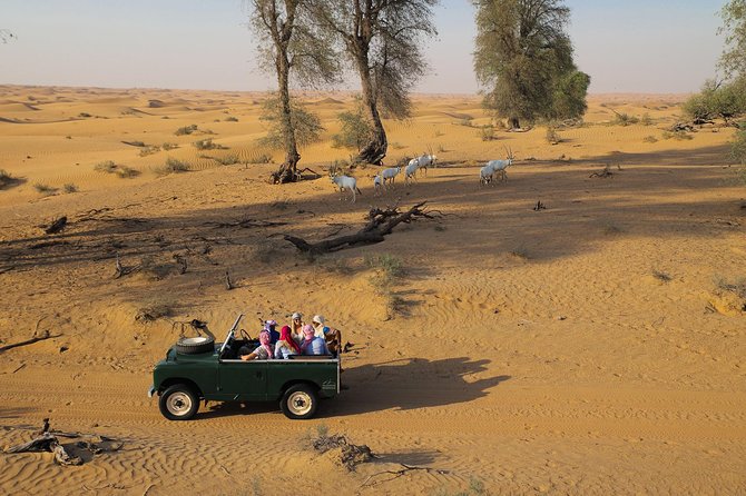 Overnight Desert Safari - Vintage Land Rovers & Traditional Activities - Important Information
