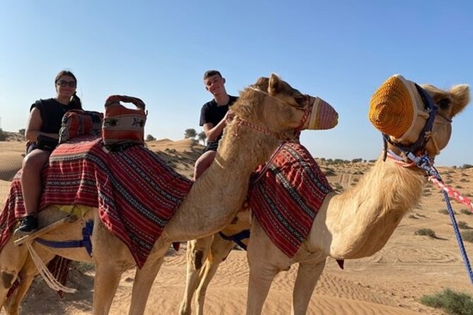 Overnight Desert Safari With BBQ Dinner and Breakfast - Safari Experience