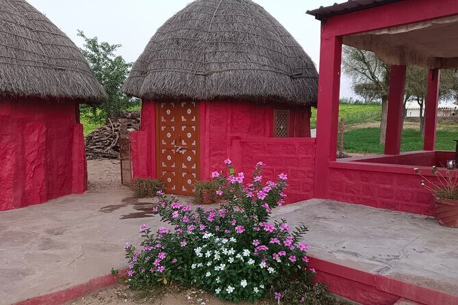 Overnight Desert Stay with Camel Safari and Homemade Food - OM - Who Would Love This Tour?