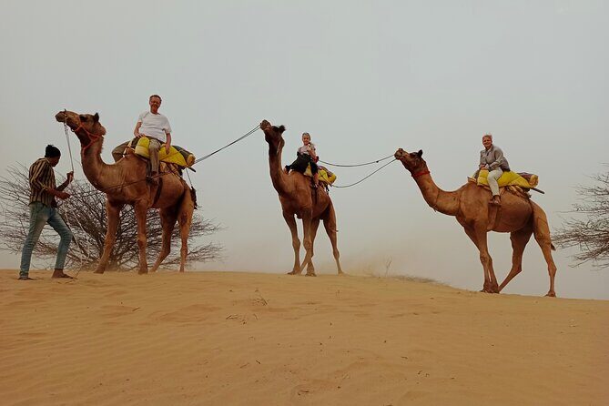 Overnight Desert Stay with Camel Safari and Homemade Food - OM - Frequently Asked Questions