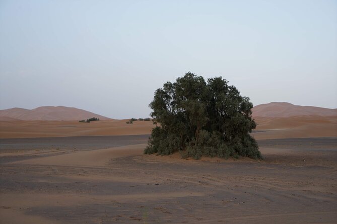 Overnight Desert Tours From Fez to Fez - Accommodation Options