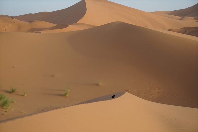 Overnight Desert Tours From Fez to Fez - Booking and Payment