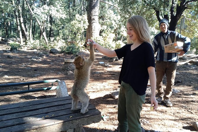 Overnight Desert Tours From Fez to Fez - Terms and Conditions