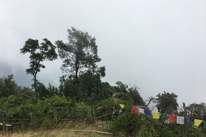 Overnight Dhampus Australian Camp Easy Hiking From Pokhara - Overnight Accommodation and Facilities