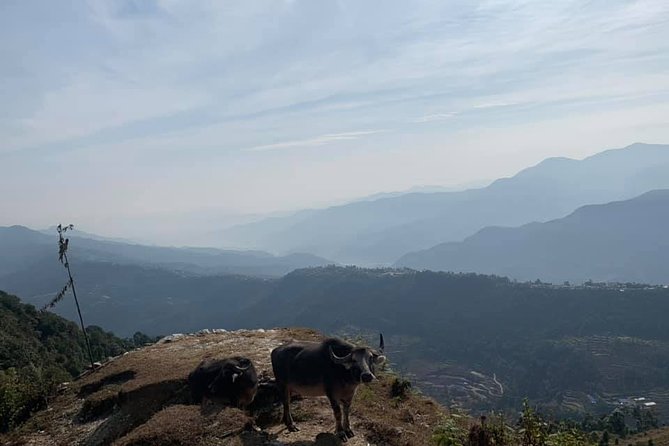 Overnight Dhumpus Hiking Tour From Pokhara - The Sum Up