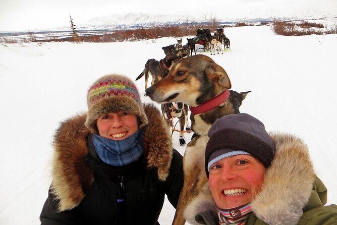 Overnight Dog Sledding Adventure - Who Would Love This Tour?