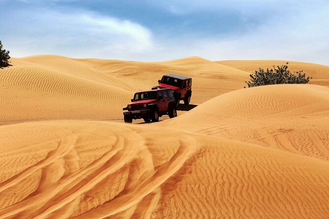 Overnight Dubai Desert Camping- Camel and 4x4 Safari With BBQ and Belly Dance - Reviews