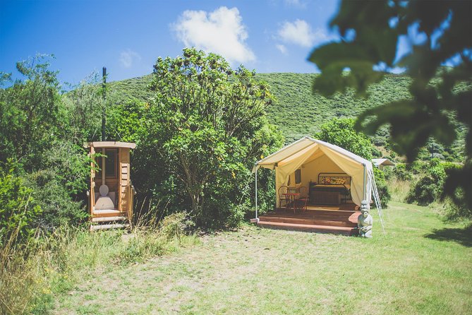 Overnight Experience Tour on Kapiti Island - Whats Included
