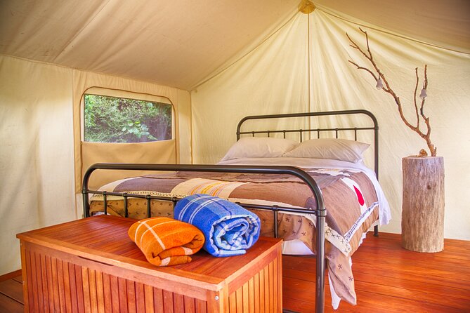 Overnight Experience Tour on Kapiti Island - Meeting and Pickup