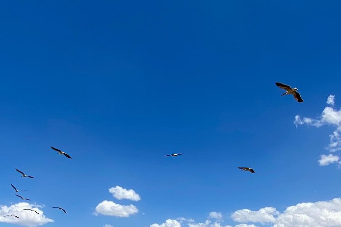 Overnight Flamingo Watching Safari: Lake Bogoria & Lake Nakuru - Booking Information