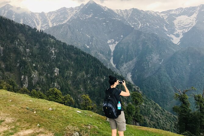 Overnight Guided Trek With Camping, Dharamshala to Triund  - Dharmasala - Trek Overview
