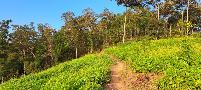 Overnight High Mountain Trek and Homestay Experience - Trek Highlights