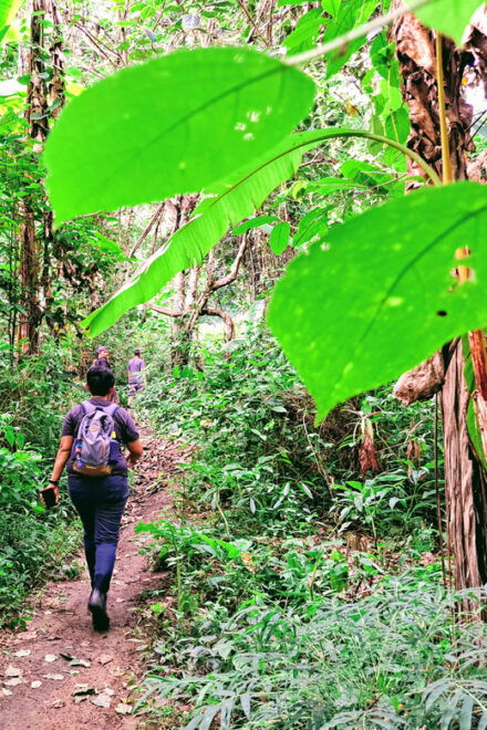 Overnight High Mountain Trek and Homestay Experience - Participant Guidelines