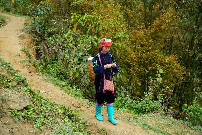 Overnight Homestay in Sapa 2 Days 1 Night - Sightseeing Highlights