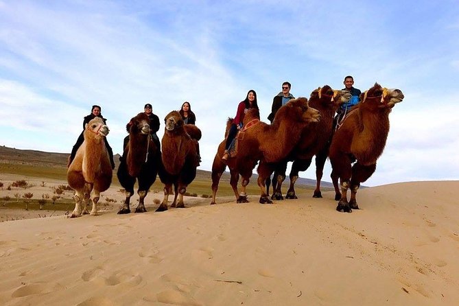Overnight in Terelj With Nomadic Family Including FREE Horse Ride and Dog Sled - Nomadic Family Accommodation