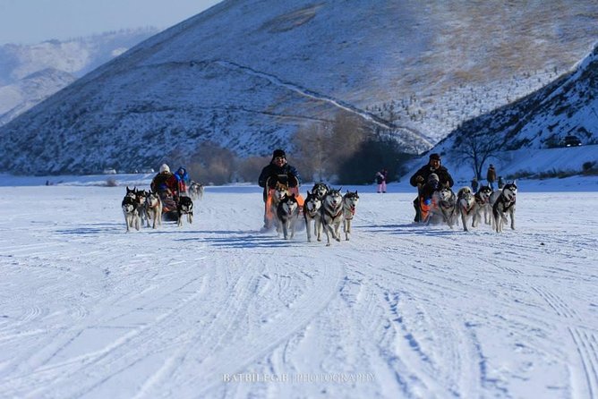 Overnight in Terelj With Nomadic Family Including FREE Horse Ride and Dog Sled - Dog Sled Adventure