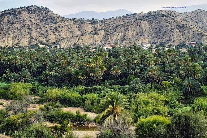 Overnight In The Desert From Fez To Marrakech ( Luxury ) - What To Expect