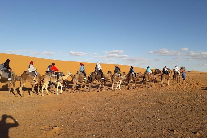 Overnight in the Zagoura Desert 1n/2 Days - Group Size and Accommodations
