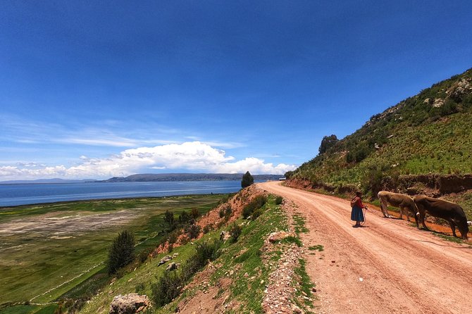 Overnight Luquina Island Homestay Experience From Puno - Cancellation Policy