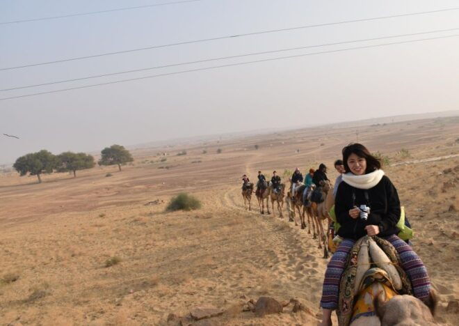 Overnight Luxury Desert Camping With Camel Safari - Inclusions and Highlights
